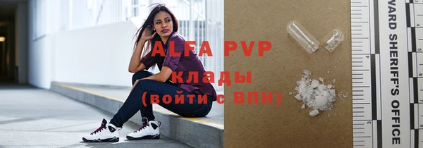 гашик Заполярный